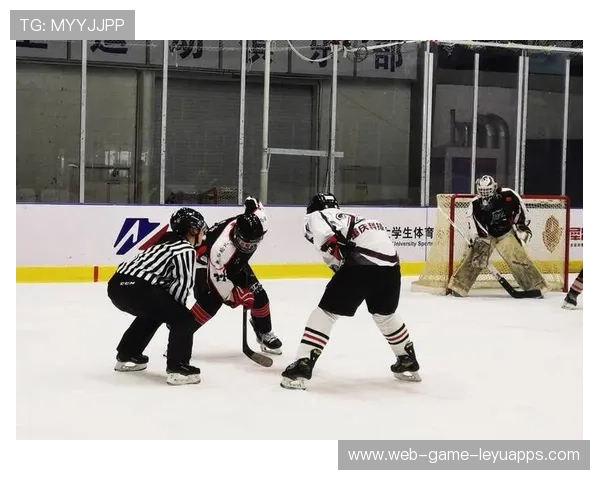 冰球训练场地和装备改善，提升运动员的竞技状态与安全，冰球初级训练教程